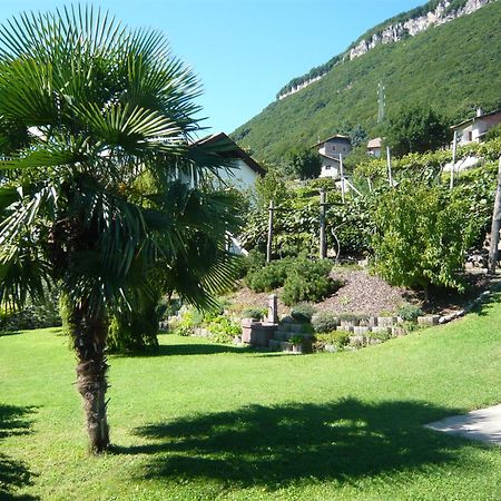 Garni Hotel Ritterhof Termeno Bagian luar foto